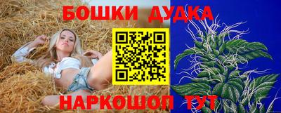 молекула духа Можга